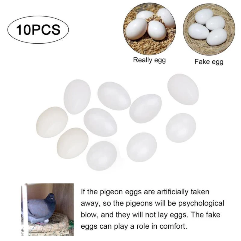 10Pcs White Solid Plastic Eggs Prop Bird Breeding Prop Fake Bird Egg Decoration Aviculture Tools For Racing Homing Pigeons
10Pcs White Solid Plastic Eggs Prop Bird Breeding Prop Fake Bird Egg Decoration Aviculture Tools For Racing Homing Pigeons