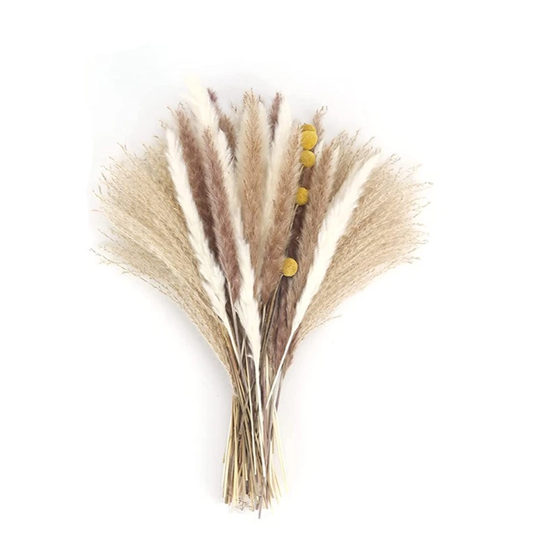 65Pcs Dried Fluffy Pampas Grass Decor Tall,Natural Pompous Grass Flower Arrangement For Vase Decor,Pampas Grass Bouquet
65Pcs Dried Fluffy Pampas Grass Decor Tall,Natural Pompous Grass Flower Arrangement For Vase Decor,Pampas Grass Bouquet