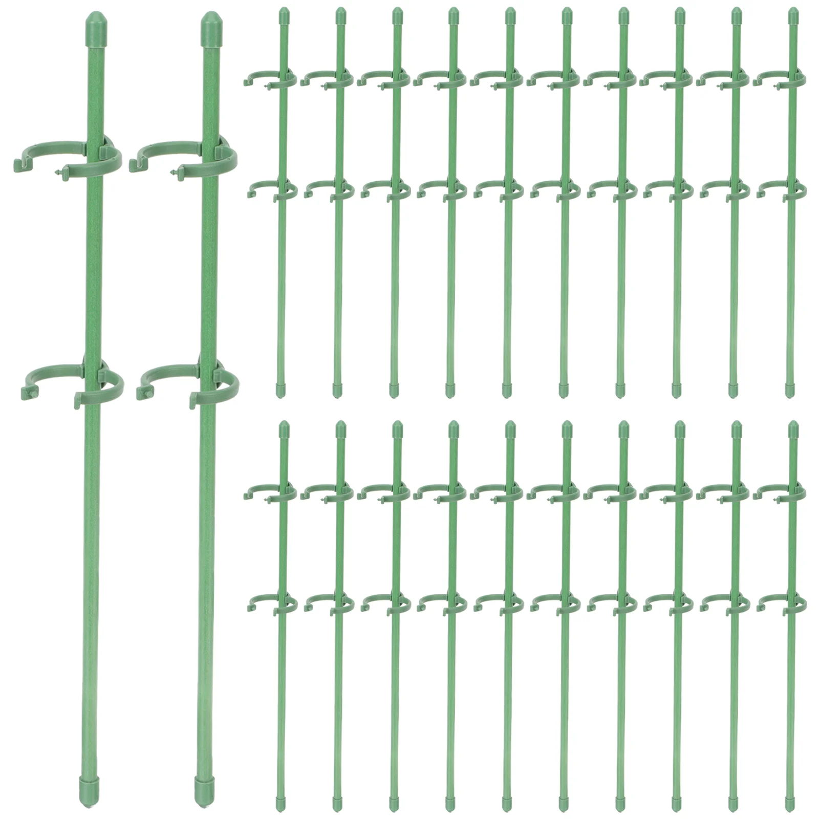Rack Climbing Flower Support Standorchid Display Kaffirtree Frame Tall Indoor Protection
Rack Climbing Flower Support Standorchid Display Kaffirtree Frame Tall Indoor Protection