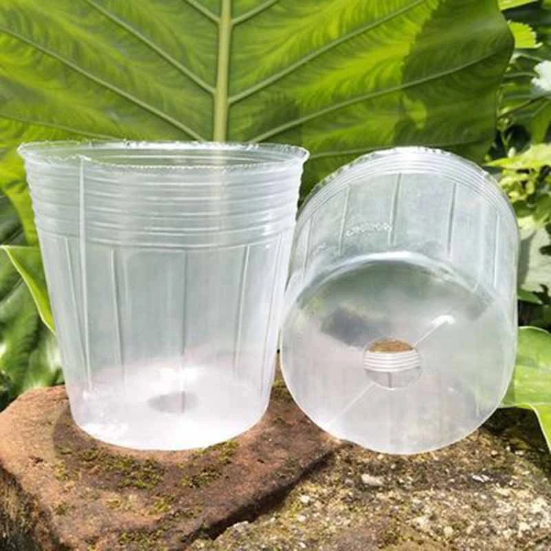 50PCS Transparent Seedling Cup Succulent Orchid Transparent Pot Nutrition Bag Seedling Cup Nutrition Bowl Flower Pot
50PCS Transparent Seedling Cup Succulent Orchid Transparent Pot Nutrition Bag Seedling Cup Nutrition Bowl Flower Pot