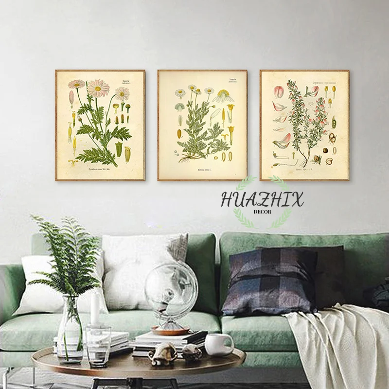 Vintage Canvas Paintng Wild Plant Poster Botanical Flower Study Living Room Hanging Painting Peony Picture Aesthetic Room Decor
Vintage Canvas Paintng Wild Plant Poster Botanical Flower Study Living Room Hanging Painting Peony Picture Aesthetic Room Decor