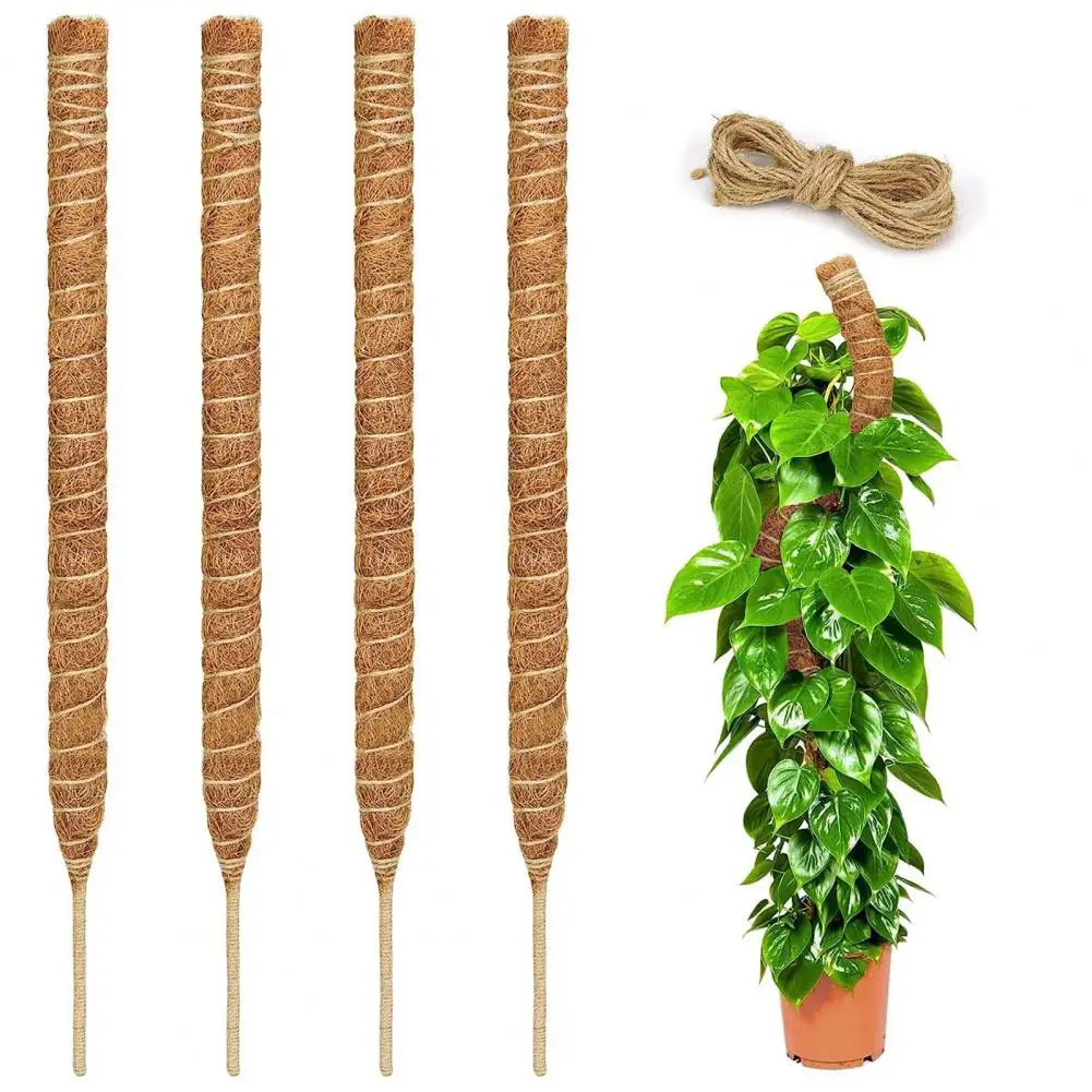 Plant Grow Stake Moss Pole With 2m Hemp Rope Sturdy Easy Install Absorbent DIY Bendable Plant Support Stake Indoor Outdoor 
Plant Grow Stake Moss Pole With 2m Hemp Rope Sturdy Easy Install Absorbent DIY Bendable Plant Support Stake Indoor Outdoor