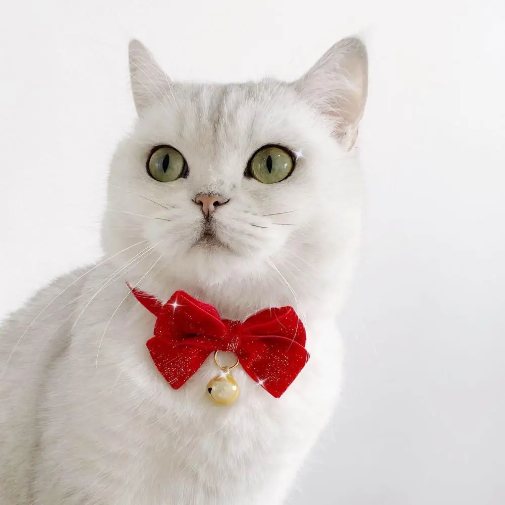 Anti-choke Practical Puppy Kitten Collar Bows with Bell Adorable Pet Dog Collar Easy-wearing for Teddy
Anti-choke Practical Puppy Kitten Collar Bows with Bell Adorable Pet Dog Collar Easy-wearing for Teddy
