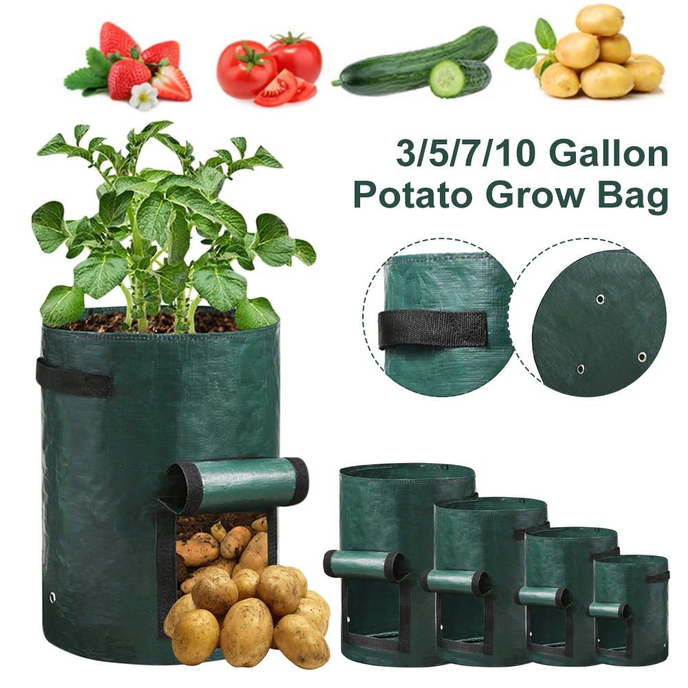 New Thickened Potato Grow Bag PE Vegetable Grow Bags Home Garden Supplies Vegetable Onion Plant Bag Outdoor Garden Pots
New Thickened Potato Grow Bag PE Vegetable Grow Bags Home Garden Supplies Vegetable Onion Plant Bag Outdoor Garden Pots