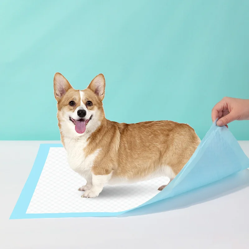 20-100pcs Pet Diapers Cat Dog Hamster Soakers Disposable Absorbent Pad Training Pee Pads Leak-proof Cats Dog Diaper Cage Mat
20-100pcs Pet Diapers Cat Dog Hamster Soakers Disposable Absorbent Pad Training Pee Pads Leak-proof Cats Dog Diaper Cage Mat