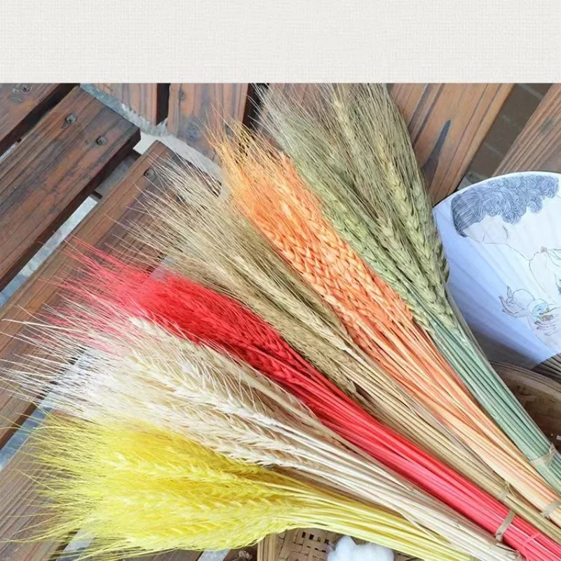 50PCS Wheat Natural Dried Flowers Wedding Decoration Table And Room Easter Decoration 2023 Wedding Bouquet For Bride Mothers Day
50PCS Wheat Natural Dried Flowers Wedding Decoration Table And Room Easter Decoration 2023 Wedding Bouquet For Bride Mothers Day