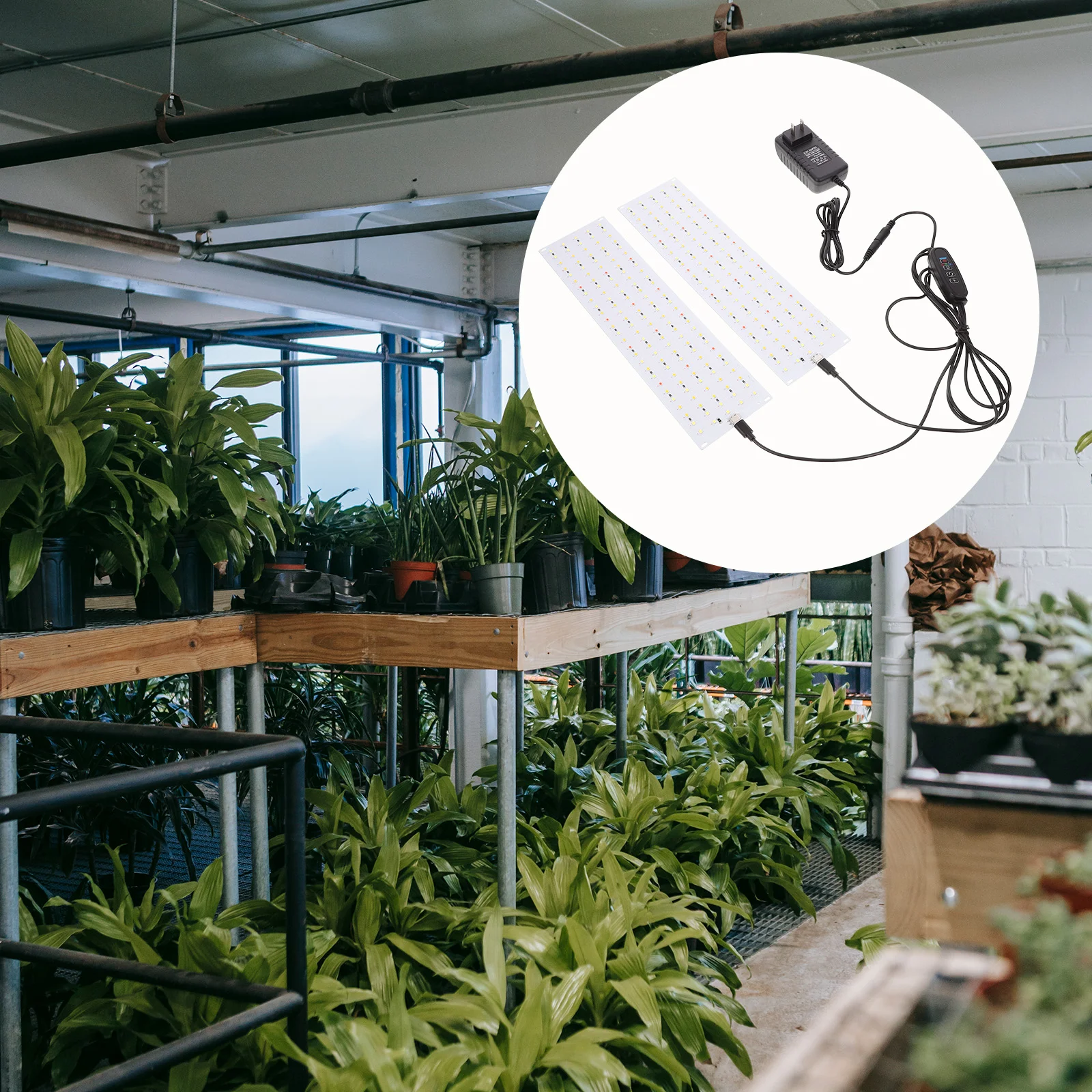 Grow Lamp Plant Light Full Spectrum Lights Plants Indoor Metal Small Aluminum Alloy
Grow Lamp Plant Light Full Spectrum Lights Plants Indoor Metal Small Aluminum Alloy