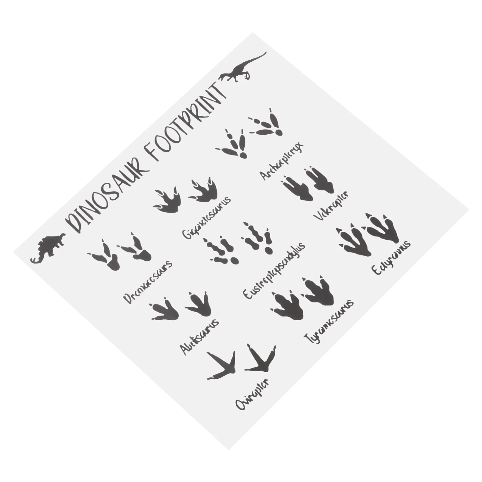 Dinosaur Footprints Wall Sticker Adhesive Dinosaur Footprint Decal for Children Room
Dinosaur Footprints Wall Sticker Adhesive Dinosaur Footprint Decal for Children Room