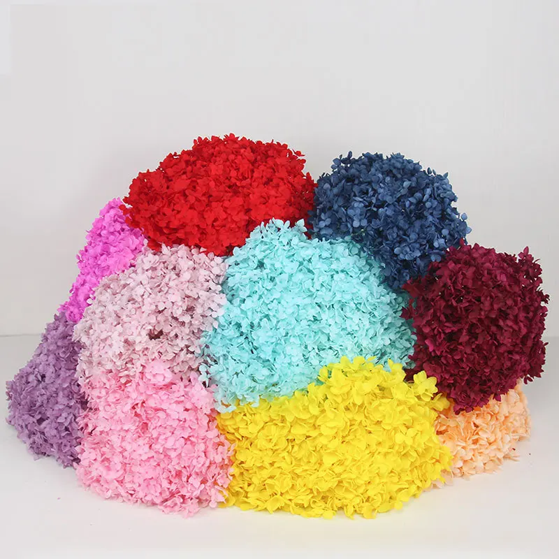 18-20cm Head Natural Preserved Anna Hydrangea With Stem Eternal Display Flower Bunch For Wedding Home Decoration Accessories
18-20cm Head Natural Preserved Anna Hydrangea With Stem Eternal Display Flower Bunch For Wedding Home Decoration Accessories