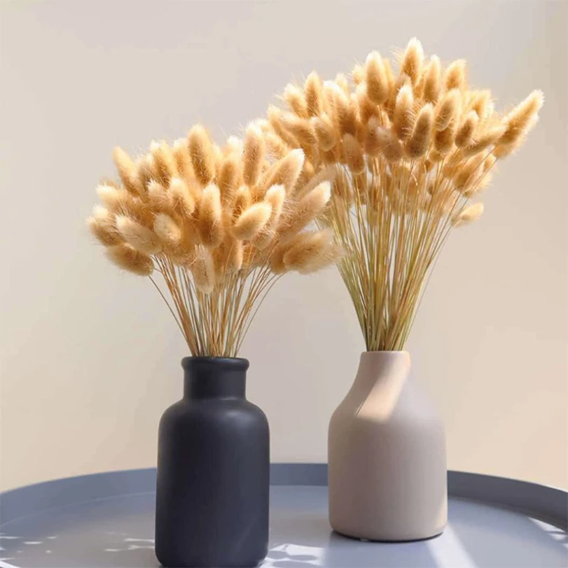 30PCS/set Dog's Tail Grass Natural Dried Flowers Bouquet Arrangement In Vase Flowers for Decoration DIY Wedding Fall Home Decor
30PCS/set Dog's Tail Grass Natural Dried Flowers Bouquet Arrangement In Vase Flowers for Decoration DIY Wedding Fall Home Decor