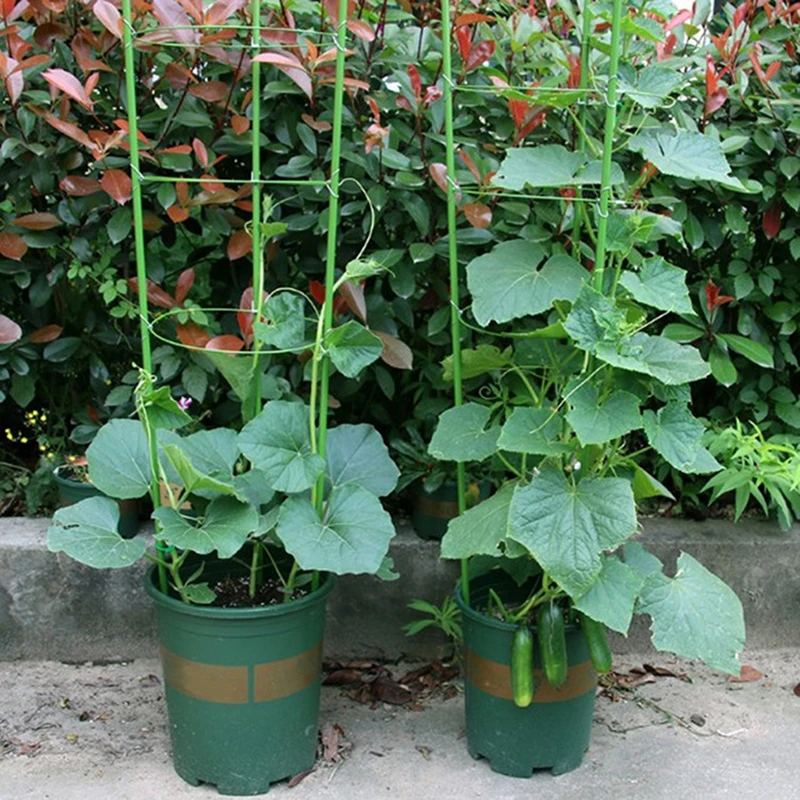Climbing Vine Rack Plant Potted Support Frame Plastic Coated Steel Flower Vegetables Decorative Trellis Bracket Garden Supplies
Climbing Vine Rack Plant Potted Support Frame Plastic Coated Steel Flower Vegetables Decorative Trellis Bracket Garden Supplies