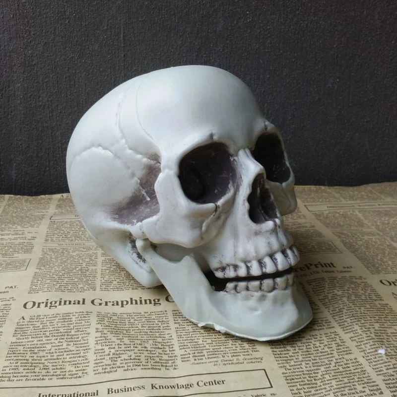 1PC Halloween Style Head Skeleton Photo Prop Home Party Decor Game Supplies Hanging Decor 2021 
1PC Halloween Style Head Skeleton Photo Prop Home Party Decor Game Supplies Hanging Decor 2021