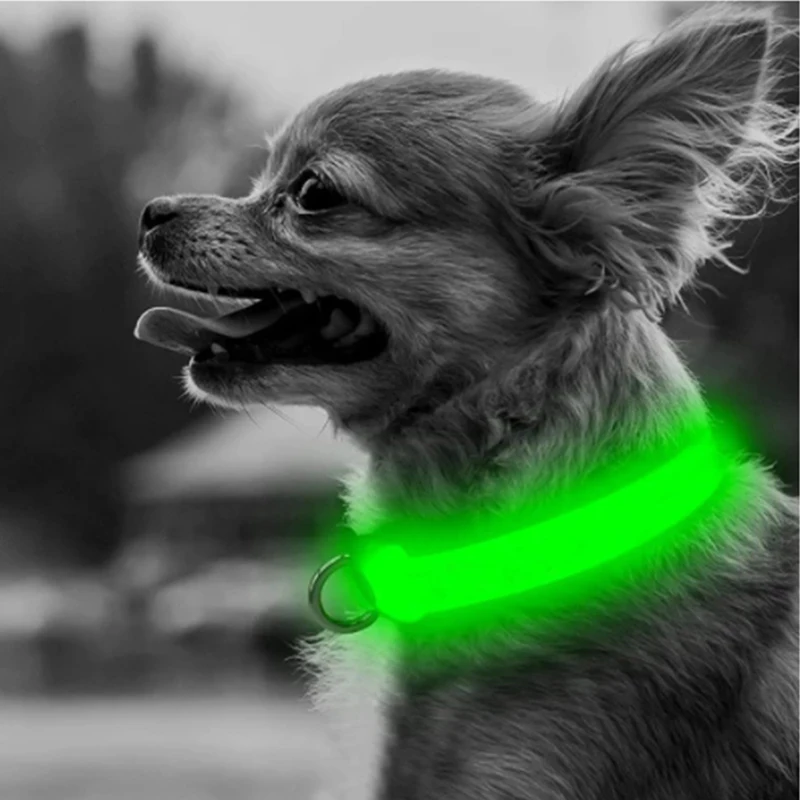 

LED Glowing Dog Collar Adjustable Flashing Rechargea Luminous Collar Night Anti-Lost Dog Light HarnessFor Small Dog Pet Products