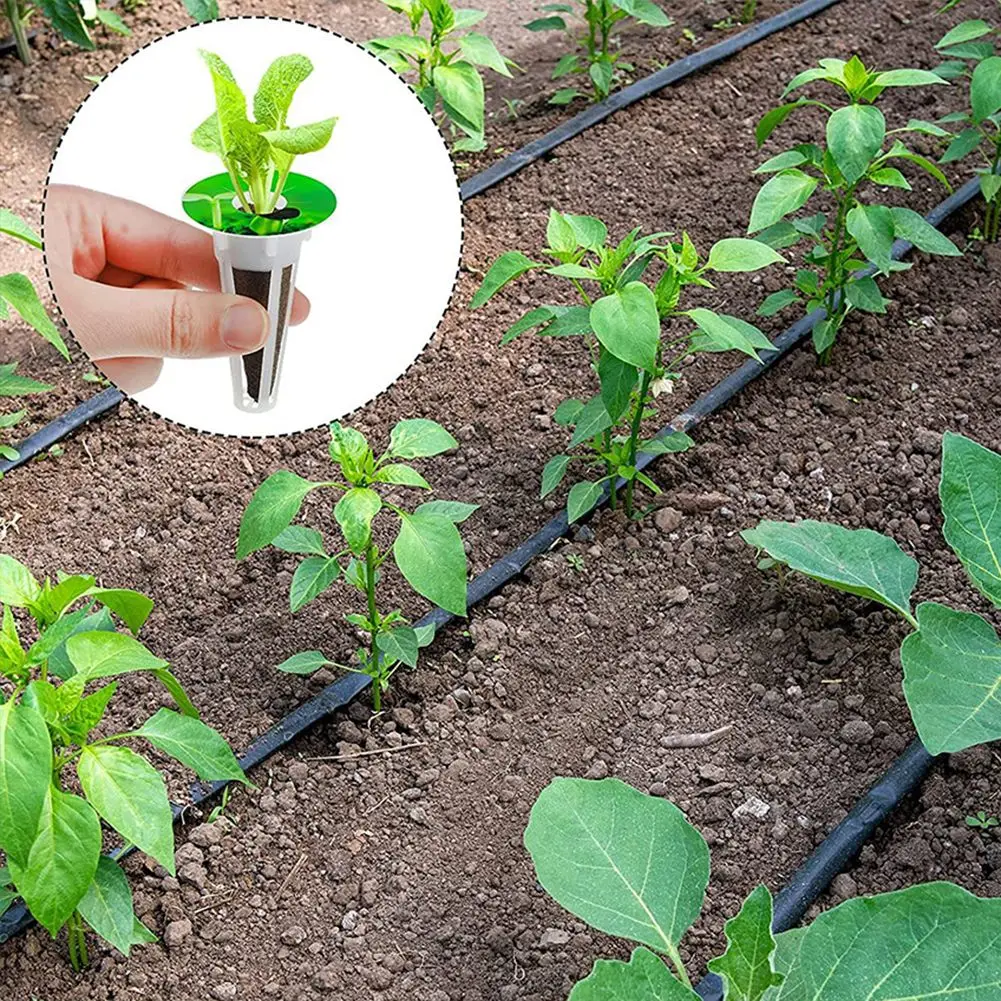 96pcs/set Hydroponic Growing Kit Planting Basket Grow Sponges Planting Sponge Blocks For Aerogarden Plant Soilless Growing Tool
96pcs/set Hydroponic Growing Kit Planting Basket Grow Sponges Planting Sponge Blocks For Aerogarden Plant Soilless Growing Tool