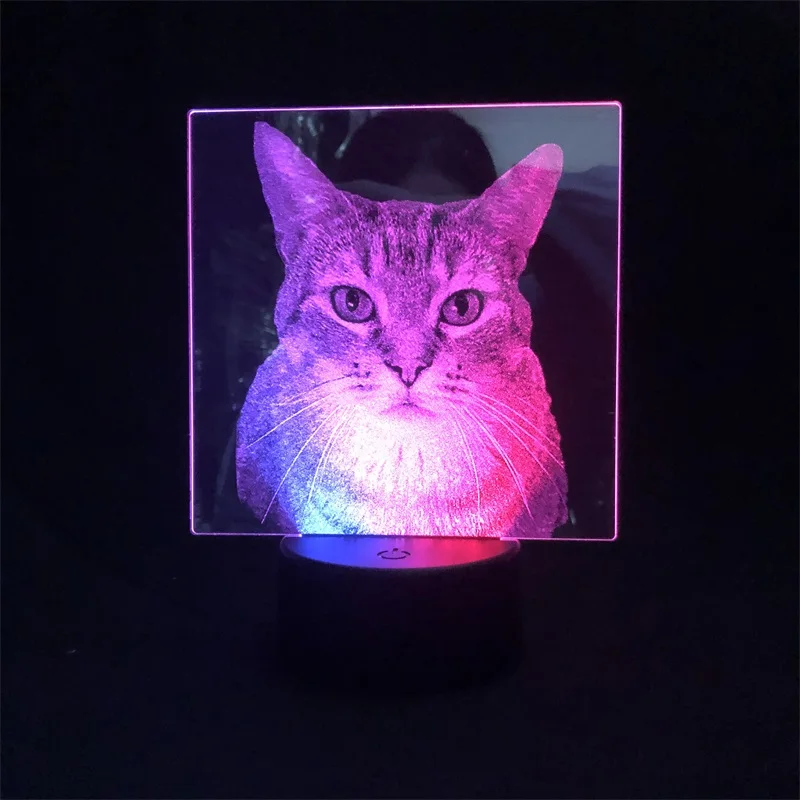 Palm Civet Cat Two Tone Led Light Two Tone 3D Lamp Remote Control Color Changing Decoration Directly Supply Indoor Children
Palm Civet Cat Two Tone Led Light Two Tone 3D Lamp Remote Control Color Changing Decoration Directly Supply Indoor Children