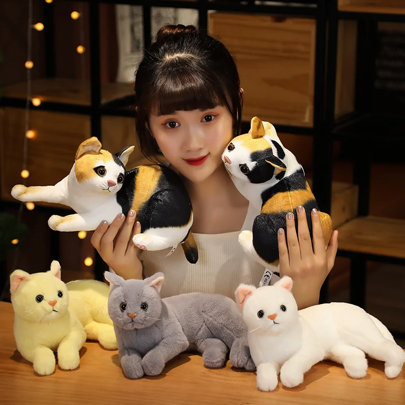 30cm Kawaii's Imitation Solid Color Cat And Flower Cat Doll Are Soft Cotton Filled Plush Toys For Children's Birthday Gifts
30cm Kawaii's Imitation Solid Color Cat And Flower Cat Doll Are Soft Cotton Filled Plush Toys For Children's Birthday Gifts