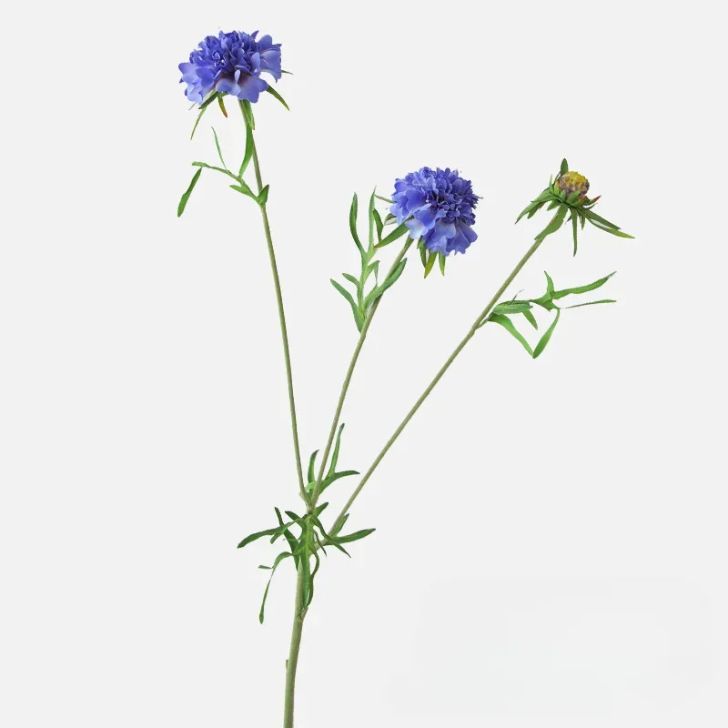 Искусственный шелковый голубой цветок Scabiosa 69 см
Искусственный шелковый голубой цветок Scabiosa 69 см