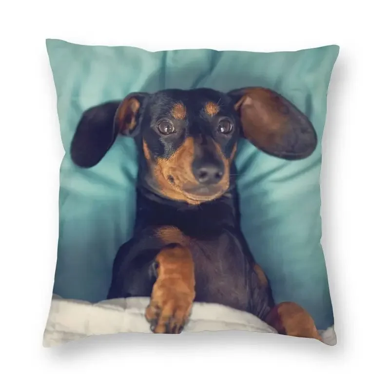 Dachshund Cushion Cover 40x40 Decoration 3D Print Badger Sausage the Wiener Dog Throw Pillow Case for Sofa Two Side
Dachshund Cushion Cover 40x40 Decoration 3D Print Badger Sausage the Wiener Dog Throw Pillow Case for Sofa Two Side
