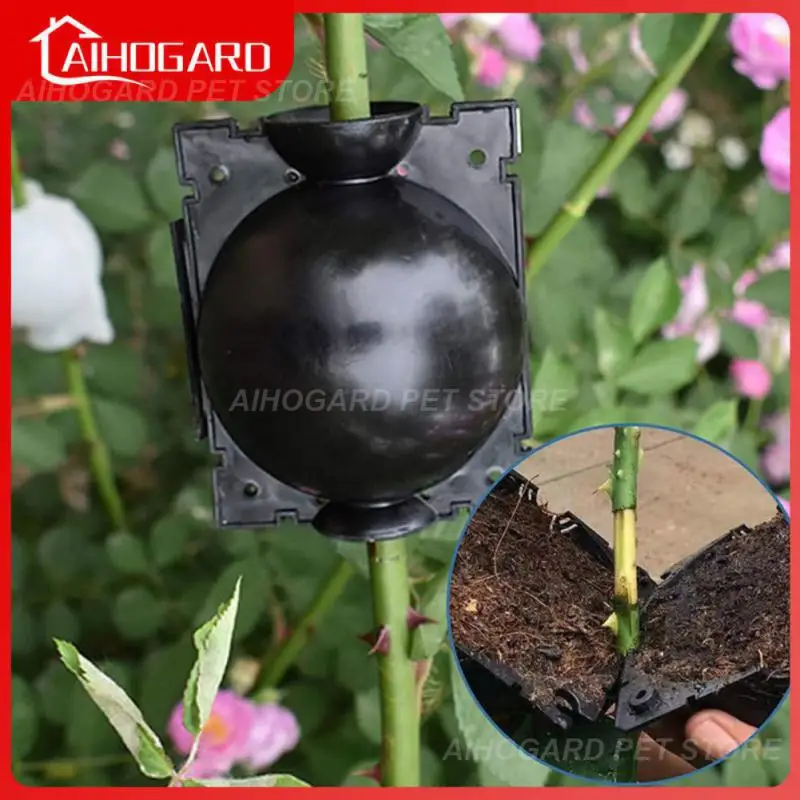 Trees Grafting Rooting Device Large Medium And Small Agricultural Gardening Plant Root Growing Box High-pressure Reusable
Trees Grafting Rooting Device Large Medium And Small Agricultural Gardening Plant Root Growing Box High-pressure Reusable