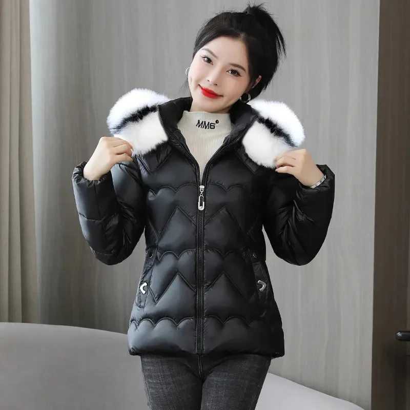 2023 New Winter Jacket Women Parkas Fur Collar Hooded Thick Down Cotton Padded Parka Female Jacket Short Coat Slim Warm Outwear
2023 New Winter Jacket Women Parkas Fur Collar Hooded Thick Down Cotton Padded Parka Female Jacket Short Coat Slim Warm Outwear