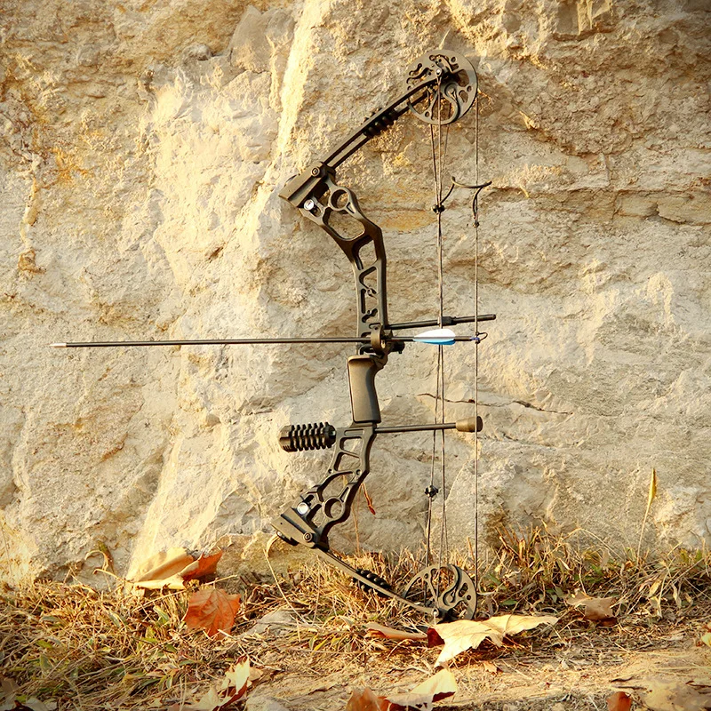 N1 High Quality Bow And Arrow Set 35-60 lbs Adjustable Compound Pulley Bow Hunting Falcon Shooting Competitive Compound Bow
N1 High Quality Bow And Arrow Set 35-60 lbs Adjustable Compound Pulley Bow Hunting Falcon Shooting Competitive Compound Bow
