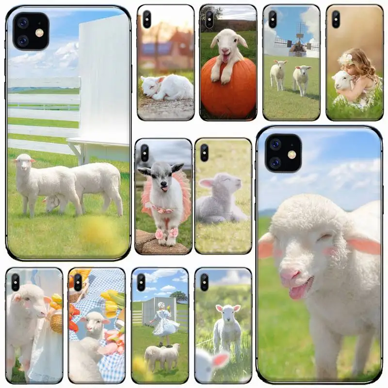 little sheep cute animal Phone Case For iphone 12 11 13 7 8 6 s plus x xs xr pro max mini 
little sheep cute animal Phone Case For iphone 12 11 13 7 8 6 s plus x xs xr pro max mini