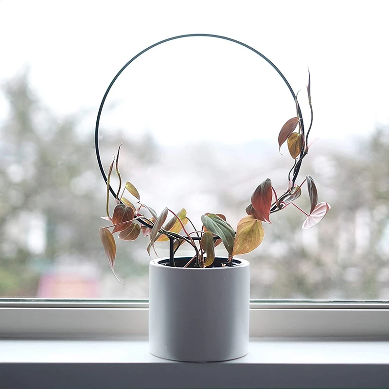 Plant Support Garden Climbing Stake Circle Round Shape Stand Frame Vine Rack For Mini Indoor Plants Flowers Vegetables
Plant Support Garden Climbing Stake Circle Round Shape Stand Frame Vine Rack For Mini Indoor Plants Flowers Vegetables