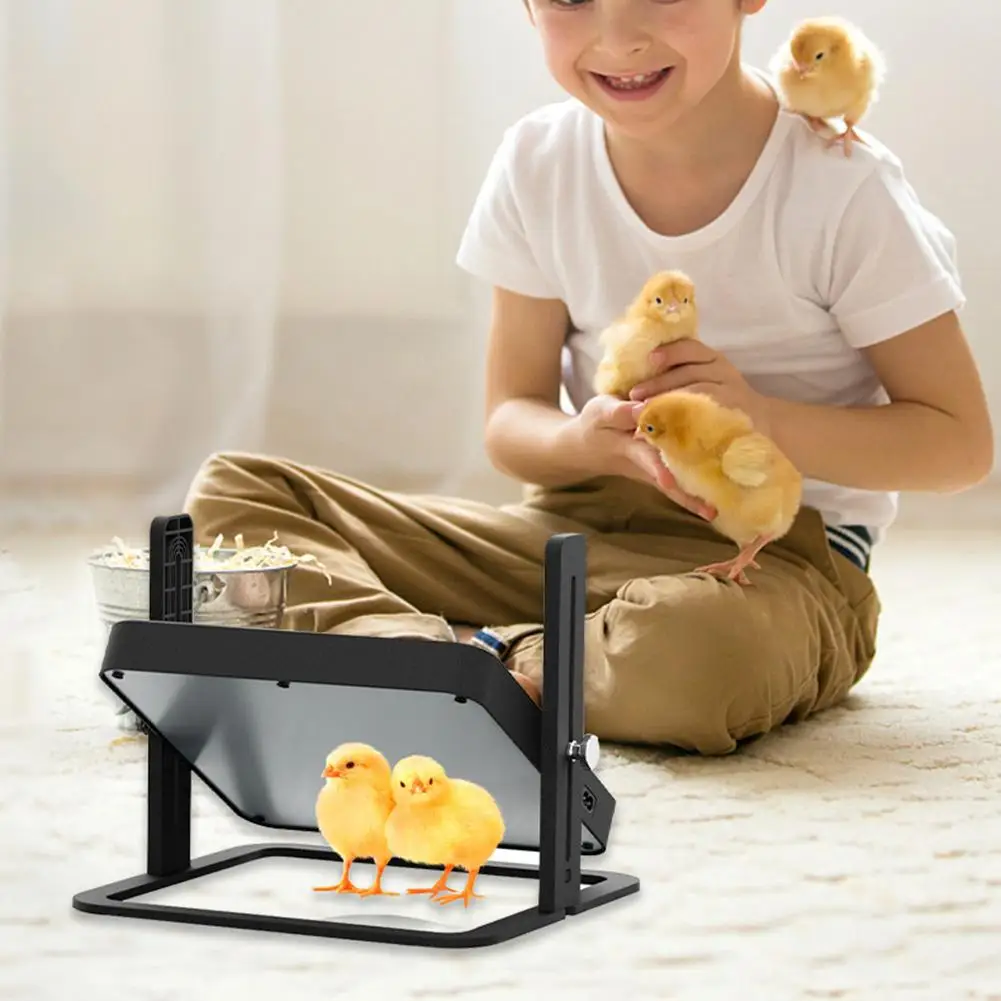 110v Heating Plate Adjustable Height Angle Overheating Protection Design Pet Heater For Cat Dog Chicken
110v Heating Plate Adjustable Height Angle Overheating Protection Design Pet Heater For Cat Dog Chicken
