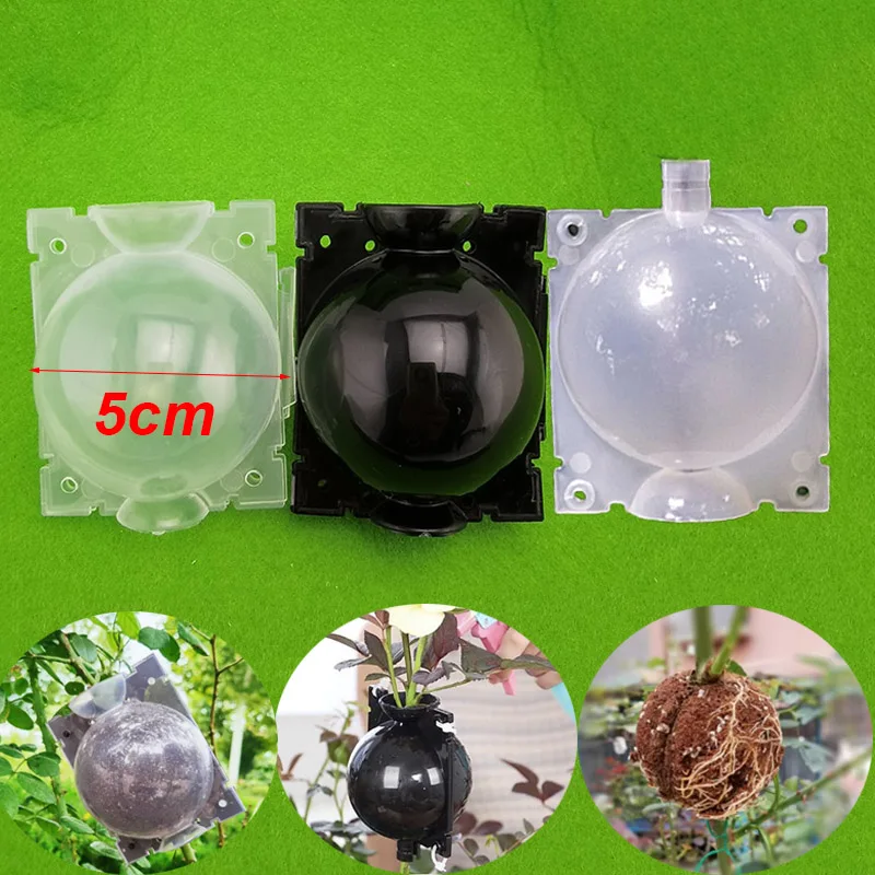 

5cm Plant Tree Rooting Ball Root Box Plastic Case Transparent Flower Grafting Rooter Growing High-pressure Breeding