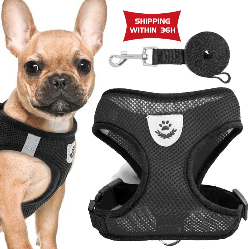 Mesh Dog Harness Vest for Puppy Small Medium Dogs Stuff Reflective Pet Chest Strap Breathable Adjustable Cat Collar Necklace
Mesh Dog Harness Vest for Puppy Small Medium Dogs Stuff Reflective Pet Chest Strap Breathable Adjustable Cat Collar Necklace