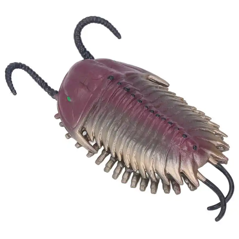 Simulated Trilobite Model Figurine Toy Ancient Marine Animal Action Figure Model Ornament Educational Toy for Children Gift
Simulated Trilobite Model Figurine Toy Ancient Marine Animal Action Figure Model Ornament Educational Toy for Children Gift