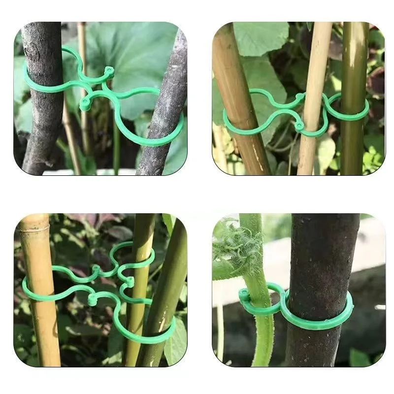 50pcs Horticultural Products with 8-shaped Buckle, Climbing Vine, Tomato Binding and Fixing Buckle
50pcs Horticultural Products with 8-shaped Buckle, Climbing Vine, Tomato Binding and Fixing Buckle