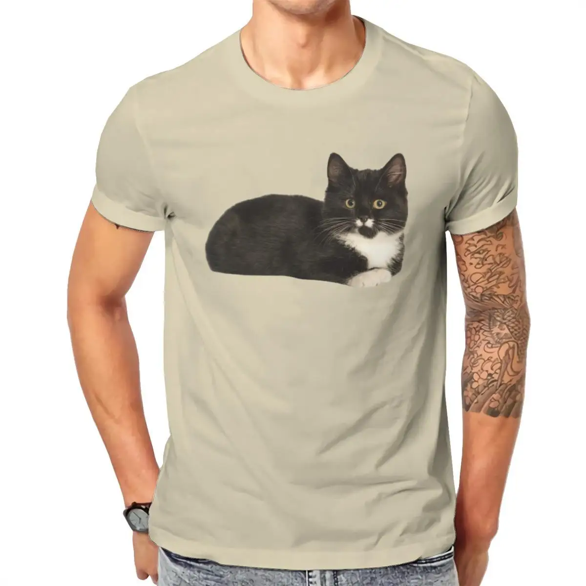 Wholesale TUXEDO KITTEN Mens Sport T-Shirt Funny Couples 90s JapaneseStyle Men Clothing 103136
Wholesale TUXEDO KITTEN Mens Sport T-Shirt Funny Couples 90s JapaneseStyle Men Clothing 103136