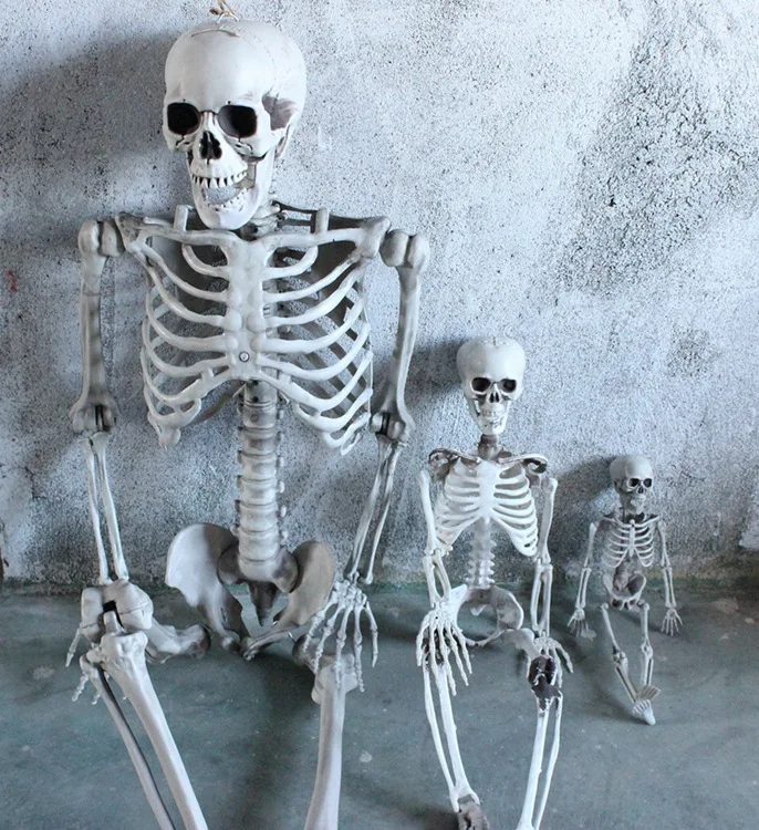 

40cm/90cm Spook-tacular Halloween Skeleton Decoration: Haunted House Props and Skeleton Figurines