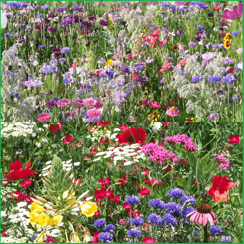

Смесь цветов, искусственные, многолетние, дикие цветы, садовые сады, защита от склона и предотвращение эрозии почвы