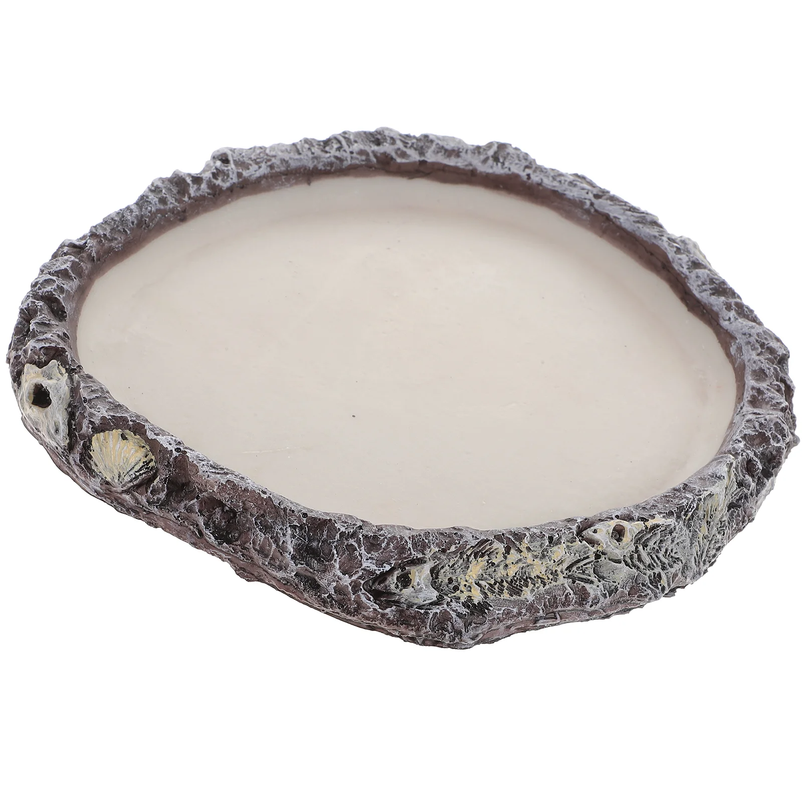 Reptile Dish Water Feeder Feeding Bowl Tortoise Gecko Tray Lizard Bearded Dragon Plate Container Bath Sand Hamster Decoration
Reptile Dish Water Feeder Feeding Bowl Tortoise Gecko Tray Lizard Bearded Dragon Plate Container Bath Sand Hamster Decoration