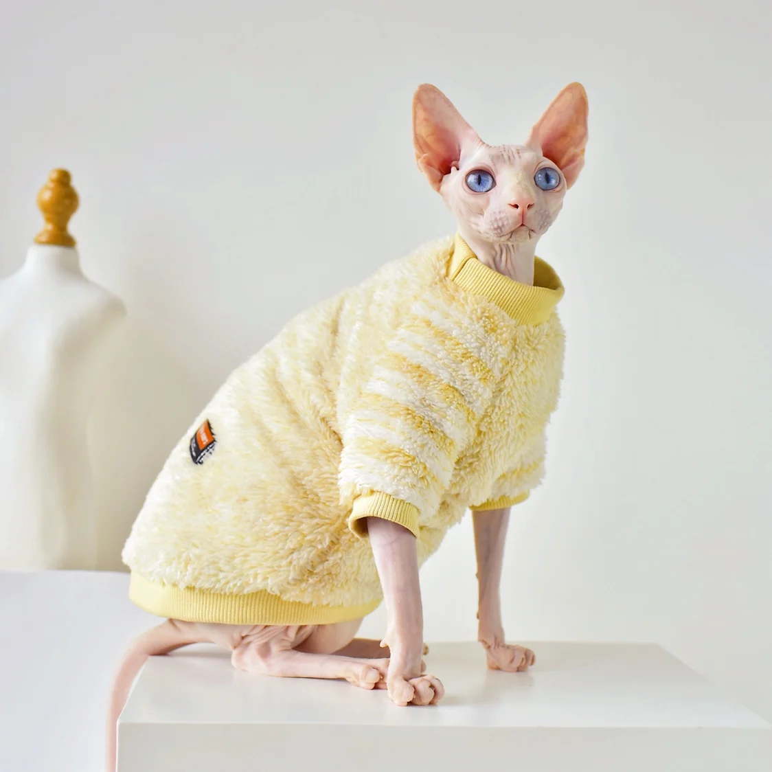 Soft Double-sided FluffY Winter Jacket Warmth Coat for cat Thickening Sphinx Sphynx Cat Clothes Hairless Cat Outfits
Soft Double-sided FluffY Winter Jacket Warmth Coat for cat Thickening Sphinx Sphynx Cat Clothes Hairless Cat Outfits
