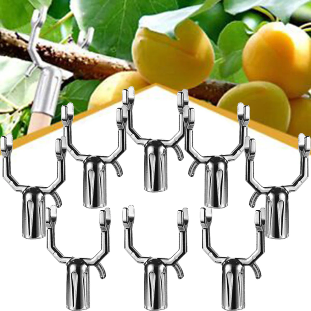 8Pcs Fruit Tree Branch Crutch Plant Decorative Bracket Grass Tree Garden Plant Support Home Plant Care Soil Floral Arrangements
8Pcs Fruit Tree Branch Crutch Plant Decorative Bracket Grass Tree Garden Plant Support Home Plant Care Soil Floral Arrangements