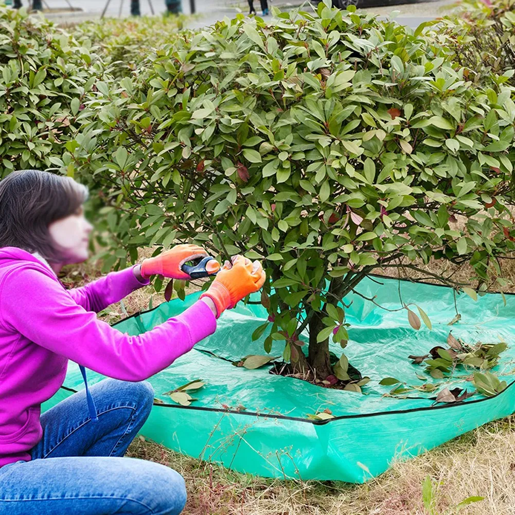 Brand New Tarps Trimming Replacement Shrub Tools Tree 12 Inch Waterproof Chainsaw Equipment Garden Grass Landscape
Brand New Tarps Trimming Replacement Shrub Tools Tree 12 Inch Waterproof Chainsaw Equipment Garden Grass Landscape