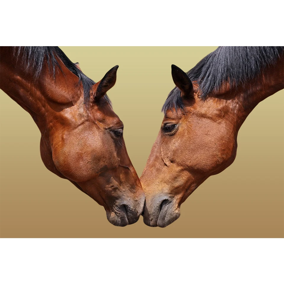 5D DIY Diamond Painting Animal Horse Rhinestone Art Picture Full Diamond Embroidery Mosaic Cross Stitch Kit Home Decor Gift
5D DIY Diamond Painting Animal Horse Rhinestone Art Picture Full Diamond Embroidery Mosaic Cross Stitch Kit Home Decor Gift