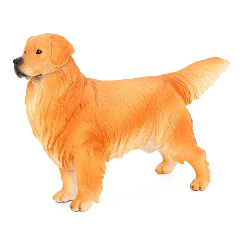 Simulation Animal Dog Model Big Golden Retriever Pet Dog Science Education Models Childrens Gift Toys
Simulation Animal Dog Model Big Golden Retriever Pet Dog Science Education Models Childrens Gift Toys