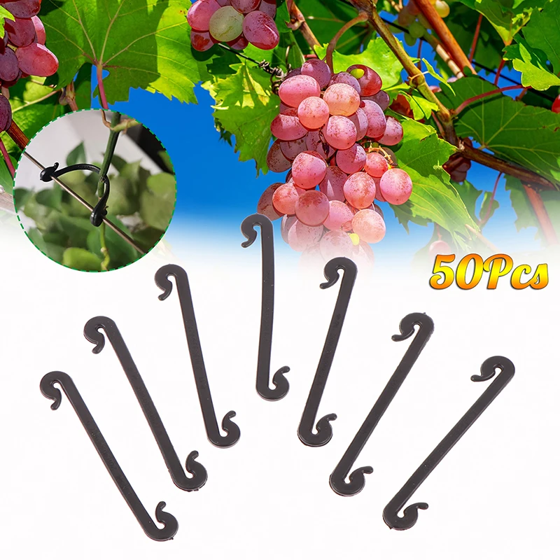 

50Pcs Garden Plants Vines Fixed Clips Tied Buckles Lashing Hook for Kiwi Grape Cucumber Tomato Stems Fastener Grafting Gadgets