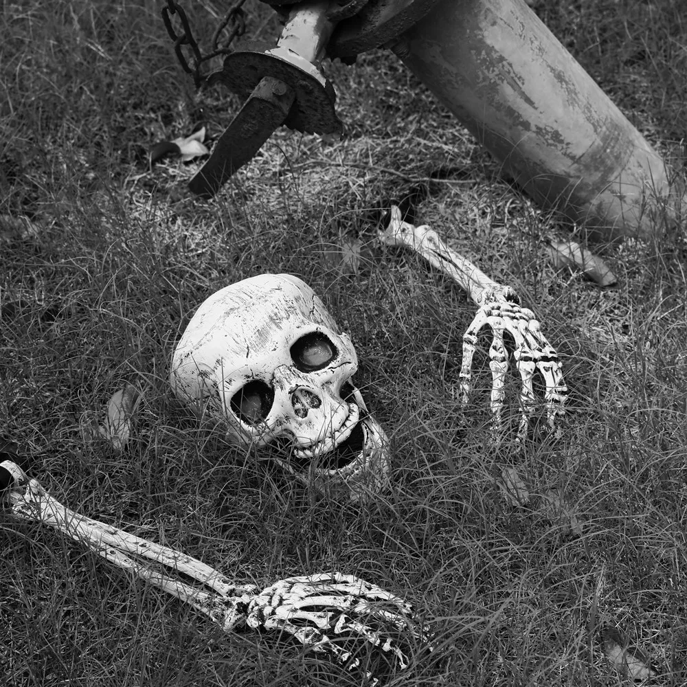 Halloween Decoration Skull Skeleton Head Hand Set for Home Garden Yard Horror Graveyard Trick Props Halloween Party Supplies
Halloween Decoration Skull Skeleton Head Hand Set for Home Garden Yard Horror Graveyard Trick Props Halloween Party Supplies