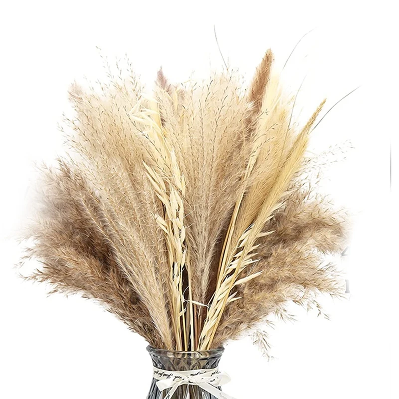 Natural Dried Pampas Grass,65Pcs Large Pampas Grass Decor Tall,Pompous Grass Wedding Flowers,Fluffy Boho Pampas
Natural Dried Pampas Grass,65Pcs Large Pampas Grass Decor Tall,Pompous Grass Wedding Flowers,Fluffy Boho Pampas