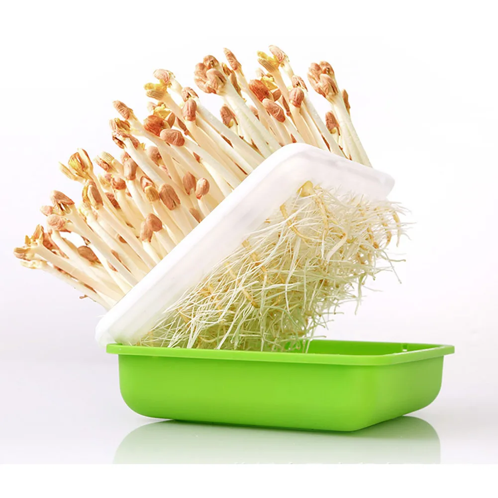 4pcs 17*17*15.5cm Quare Hydroponic Peanut Sprout Box For Wheat Peanut Beans Germination Hydroponic Accessories Gardening Supply
4pcs 17*17*15.5cm Quare Hydroponic Peanut Sprout Box For Wheat Peanut Beans Germination Hydroponic Accessories Gardening Supply