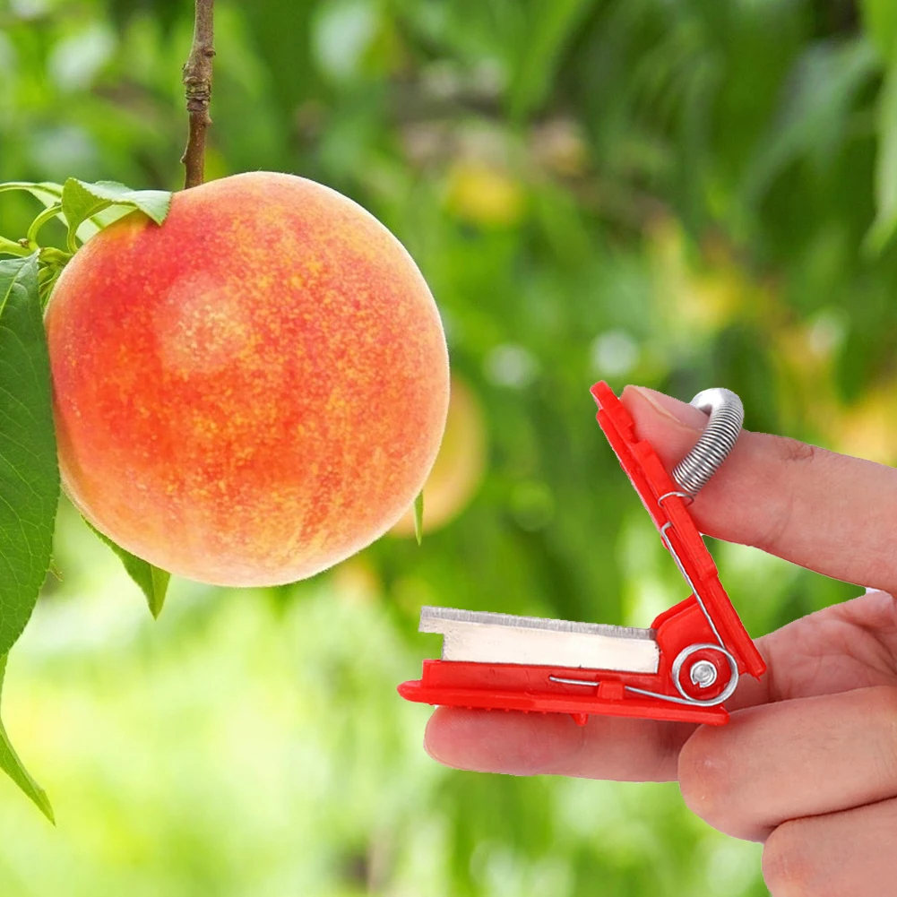 2PCS Vegetable Thump Knife Separator Vegetable Fruit Harvesting Picking Tool for Farm Garden Orchard #40
2PCS Vegetable Thump Knife Separator Vegetable Fruit Harvesting Picking Tool for Farm Garden Orchard #40