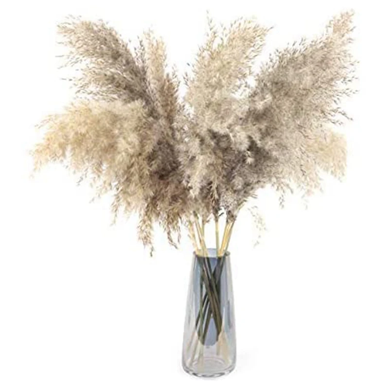 Natural Dried Artificial Pampas Grass Decor Fluffy Reed Bouquet Used For Wedding And Boho Home Decoration Dried Flowers
Natural Dried Artificial Pampas Grass Decor Fluffy Reed Bouquet Used For Wedding And Boho Home Decoration Dried Flowers