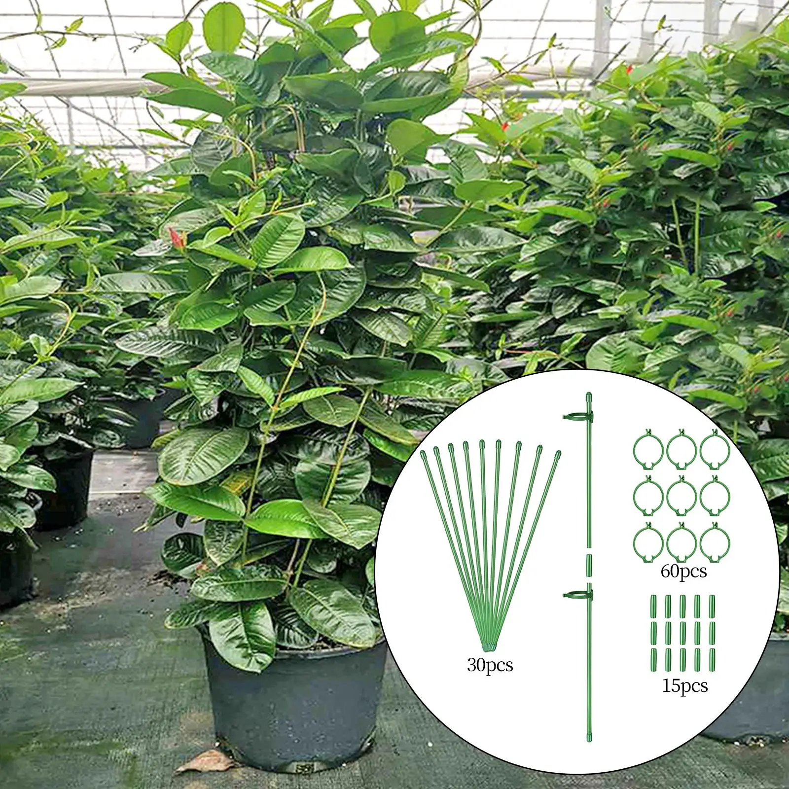 30 Pieces Climbing Plant Support Indoor Plants 60 Plant Clips Adjustable Flower Pot Climbing Trellis for Flower Pot Greenhouse
30 Pieces Climbing Plant Support Indoor Plants 60 Plant Clips Adjustable Flower Pot Climbing Trellis for Flower Pot Greenhouse