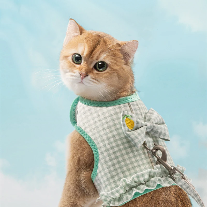 Dogs Vest Harnesses and Leash Suit Velcro Design Bow Ladies Pet Plaid Harness Pet Accessories Walking Running Lace Cat Harness
Dogs Vest Harnesses and Leash Suit Velcro Design Bow Ladies Pet Plaid Harness Pet Accessories Walking Running Lace Cat Harness
