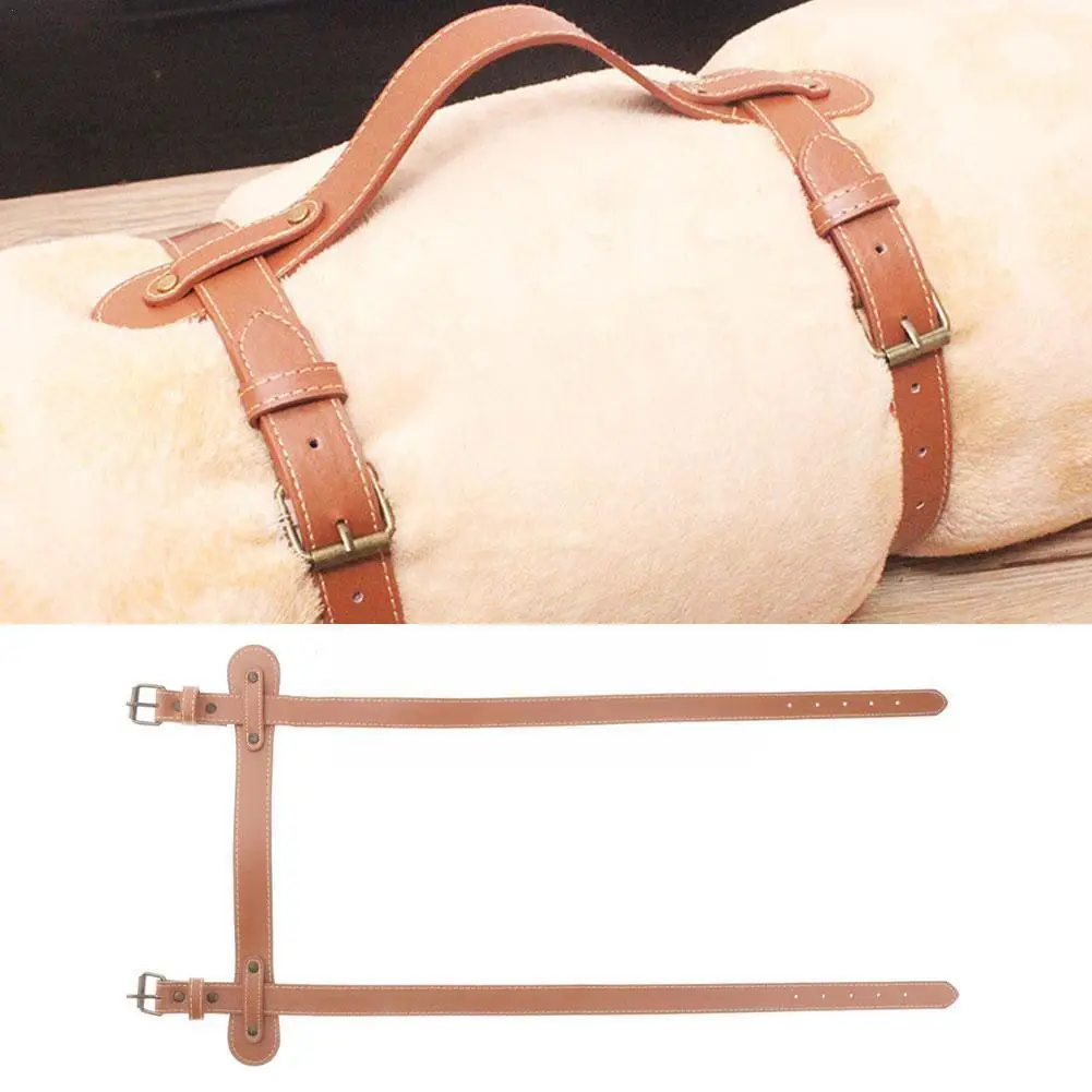 Picnic Mat Strap Blanket Yoga Mat For Outdoors Camping Picnic Bundle Vintage Style Leather Picnic Blanket Strap Brown Color E9J7
Picnic Mat Strap Blanket Yoga Mat For Outdoors Camping Picnic Bundle Vintage Style Leather Picnic Blanket Strap Brown Color E9J7